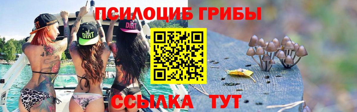 Дивногорск  где можно купить   Вход с VPN  Псилоцибиновые грибы GOLDEN TEACHER 